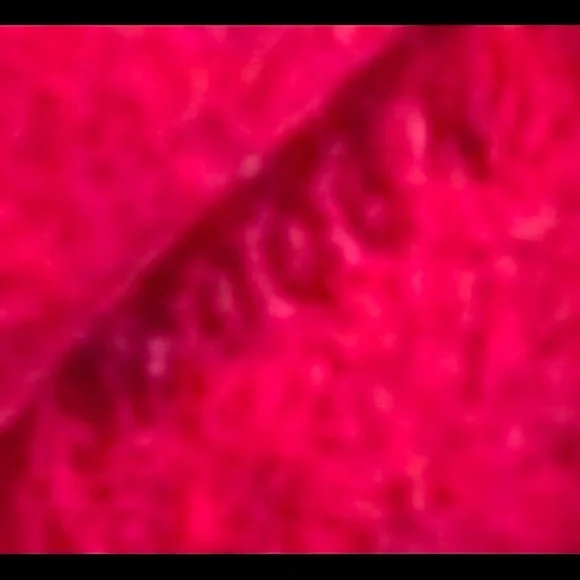 TRADE. 🎉HP🎉Louis Vuitton Sonatine. EUC!! Vintage & Retired - Picture 8 of 9